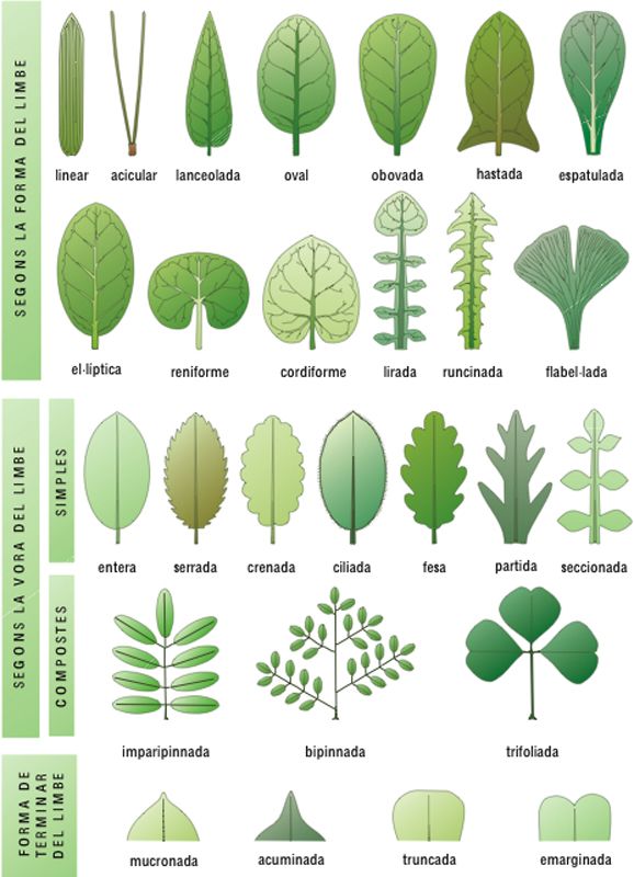 ca5f287c2e842a9a82c1fd53ba12fb9f